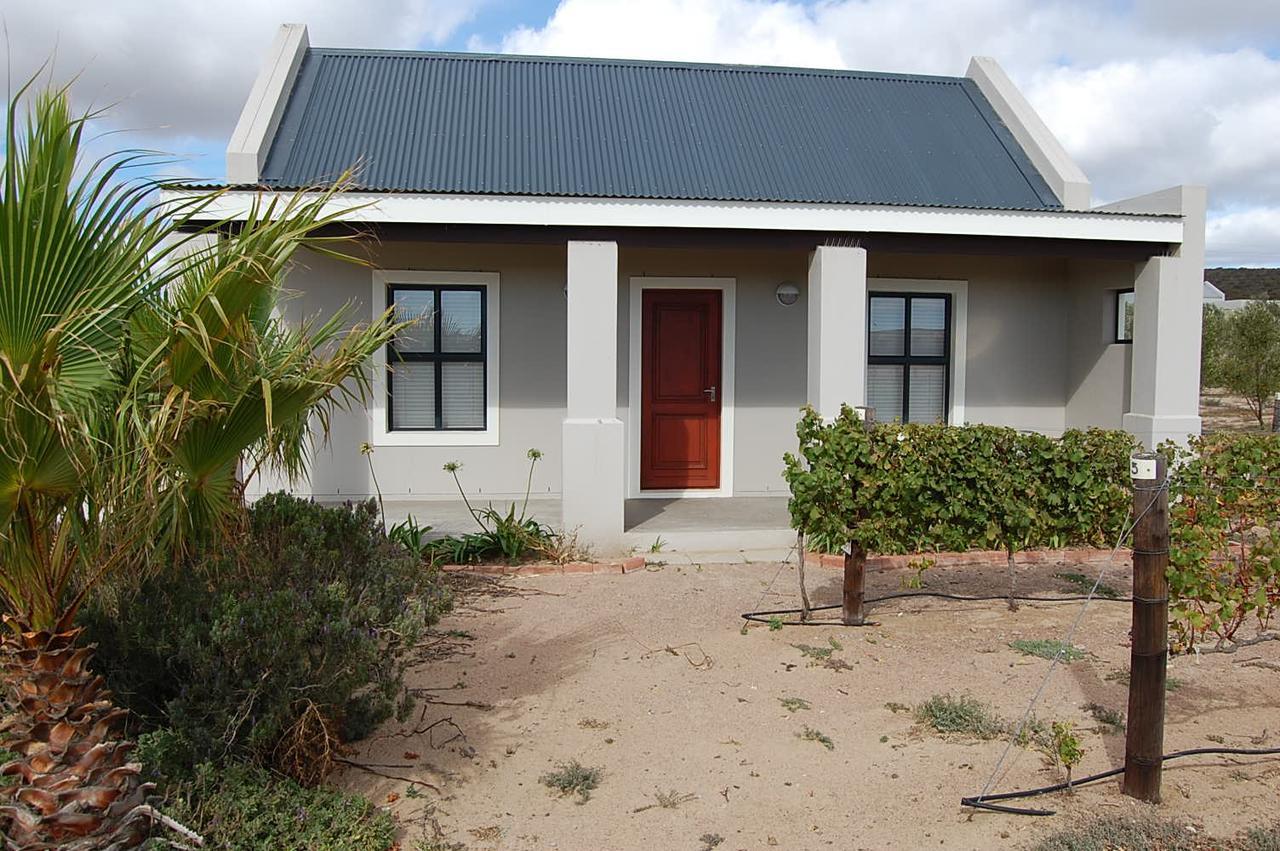 Pensjonat Longacre Olive & Vineyard Estate Langebaan Zewnętrze zdjęcie