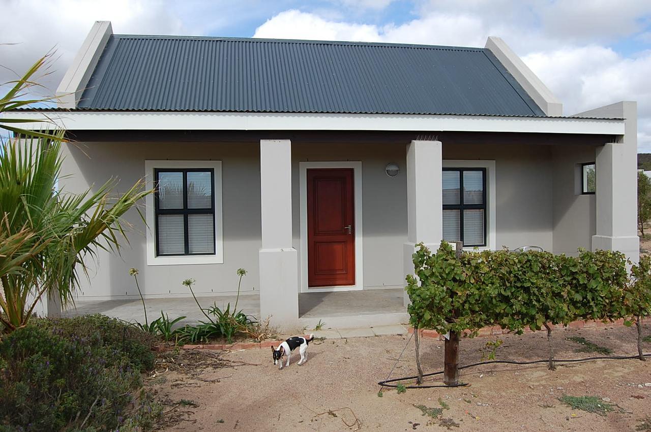 Pensjonat Longacre Olive & Vineyard Estate Langebaan Zewnętrze zdjęcie