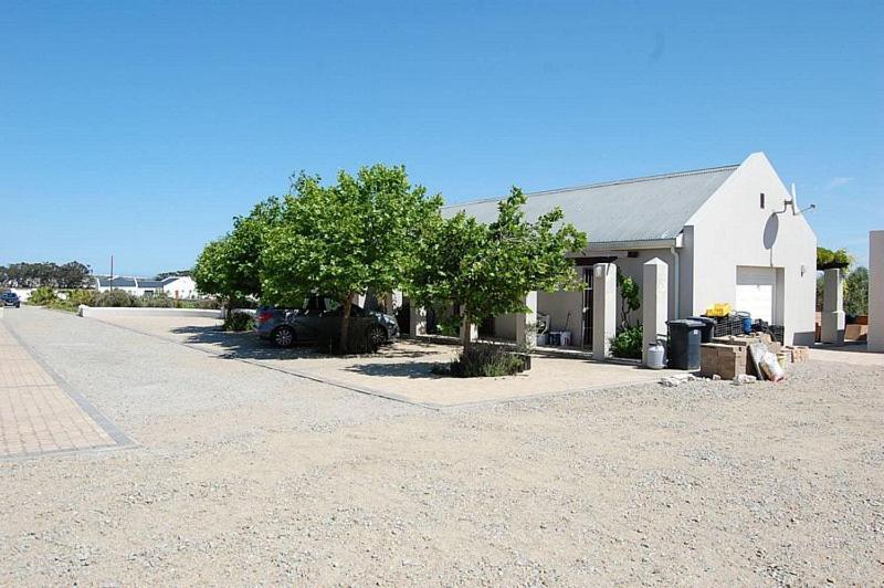 Pensjonat Longacre Olive & Vineyard Estate Langebaan Zewnętrze zdjęcie