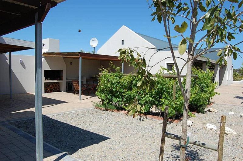 Pensjonat Longacre Olive & Vineyard Estate Langebaan Zewnętrze zdjęcie