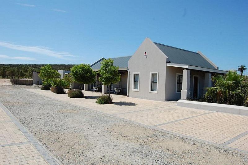 Pensjonat Longacre Olive & Vineyard Estate Langebaan Zewnętrze zdjęcie