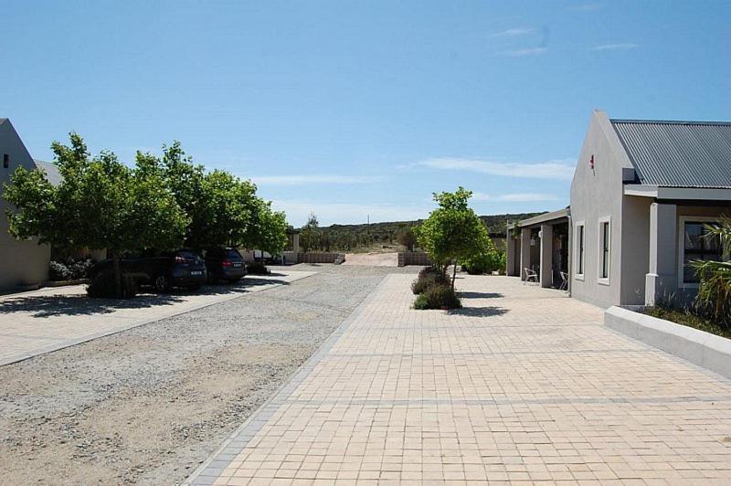Pensjonat Longacre Olive & Vineyard Estate Langebaan Zewnętrze zdjęcie